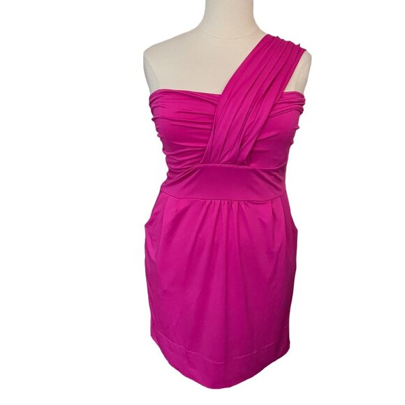 Gretchen Scott Diva (XXXL) Pink Jane One Shoulder Ruched Cocktail Sheath Dress
